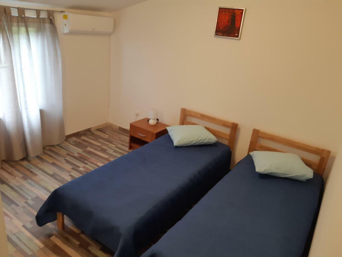 Apartments Vukelic 斯塔利格拉德-帕克利尼卡 外观 照片